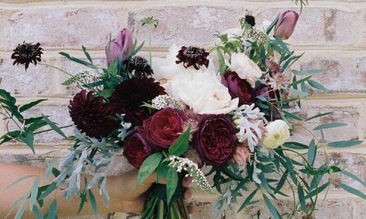 Glückwunsche mit Gratisgeschenk