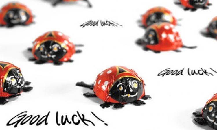 Die richtigen Worte zum Geburtstag finden