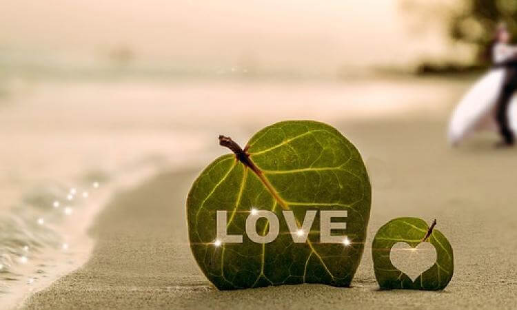 Glückwünsche zur Silberhochzeit