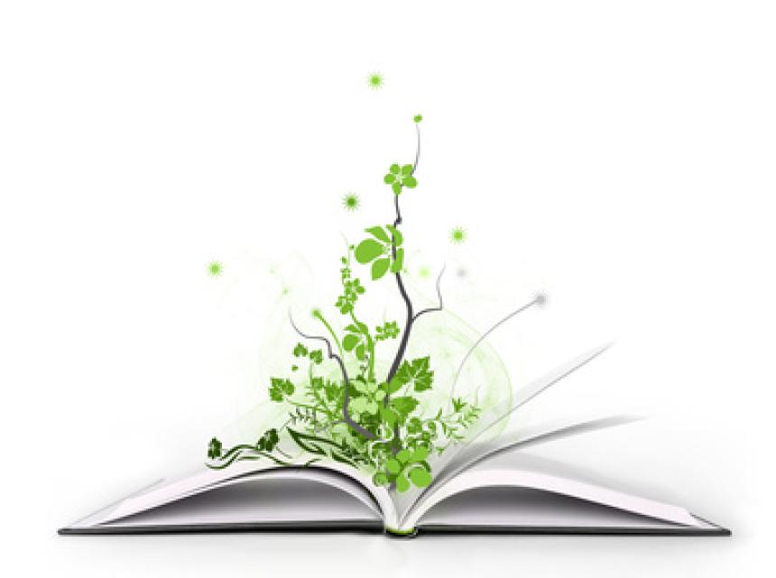 Emotionale Momente im Foto festhalten