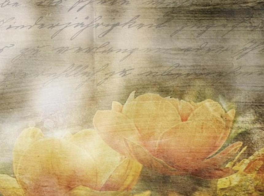 SMS Namenstagsgrüße