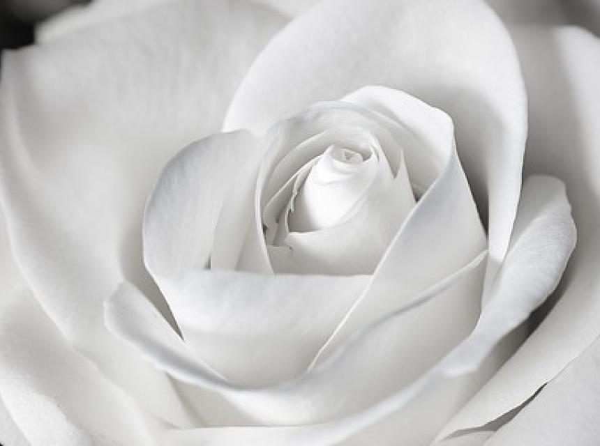 Danksagungen zur Kommunion