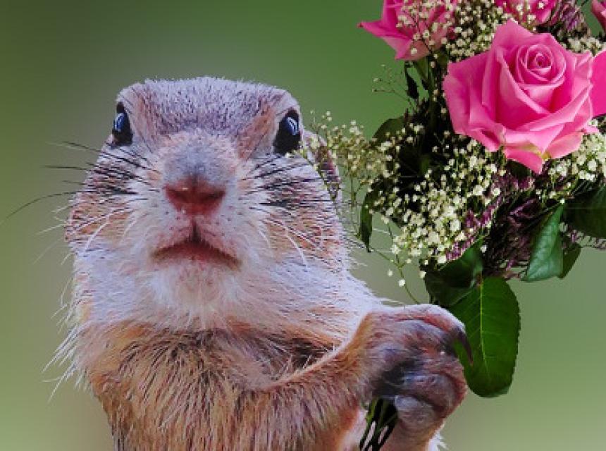 Süße Rubbelkarten - Der etwas andere Geburtstagsgruß