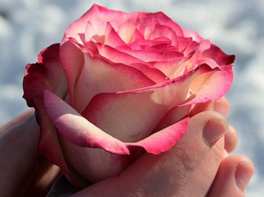 Glückwünsche zum Geburtstag